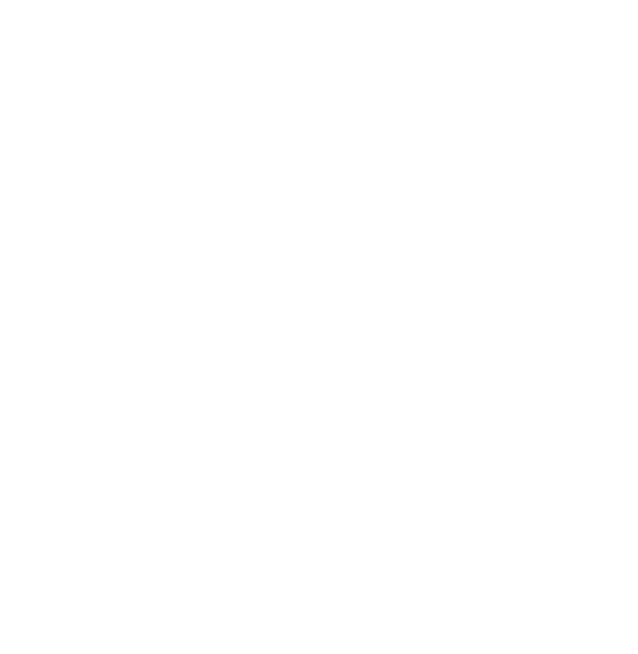 OtterSec Logo